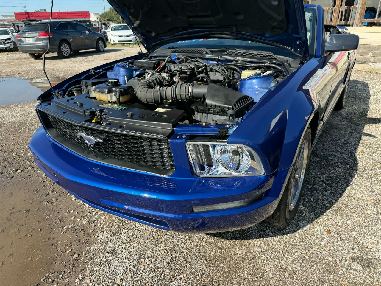 Ford Mustang V6 Deluxe Convertible 2005