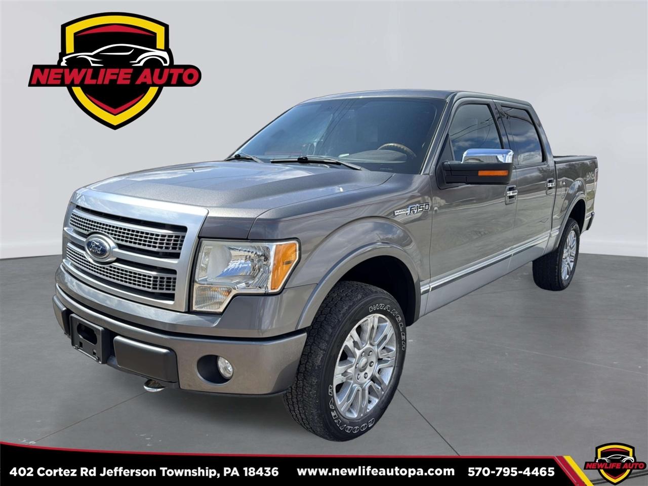 2010 Ford F-150 Platinum