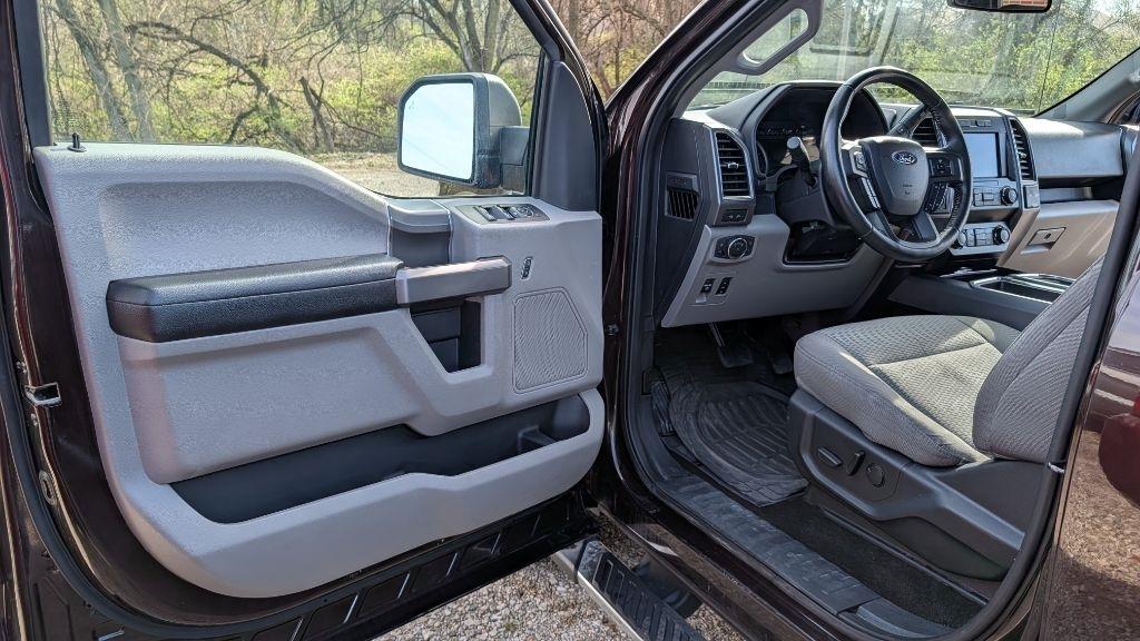 Ford F-150 XL SuperCrew 5.5-ft. Bed 4WD 2019