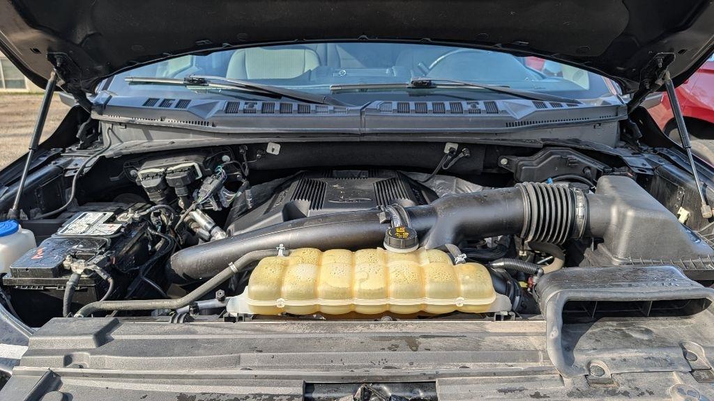 Ford F-150 XL SuperCrew 5.5-ft. Bed 4WD 2019