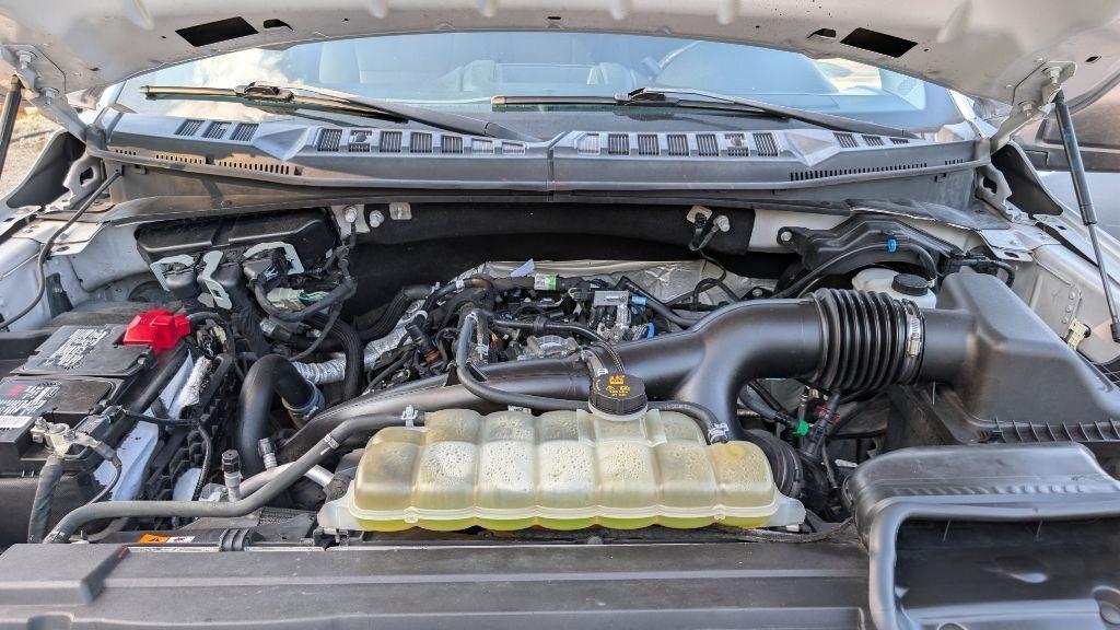 Ford F-150 XL SuperCrew 5.5-ft. Bed 4WD 2019