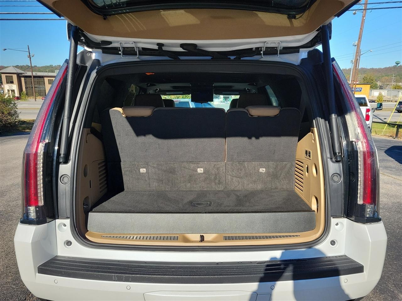 2020 Cadillac Escalade Platinum - Photo 10