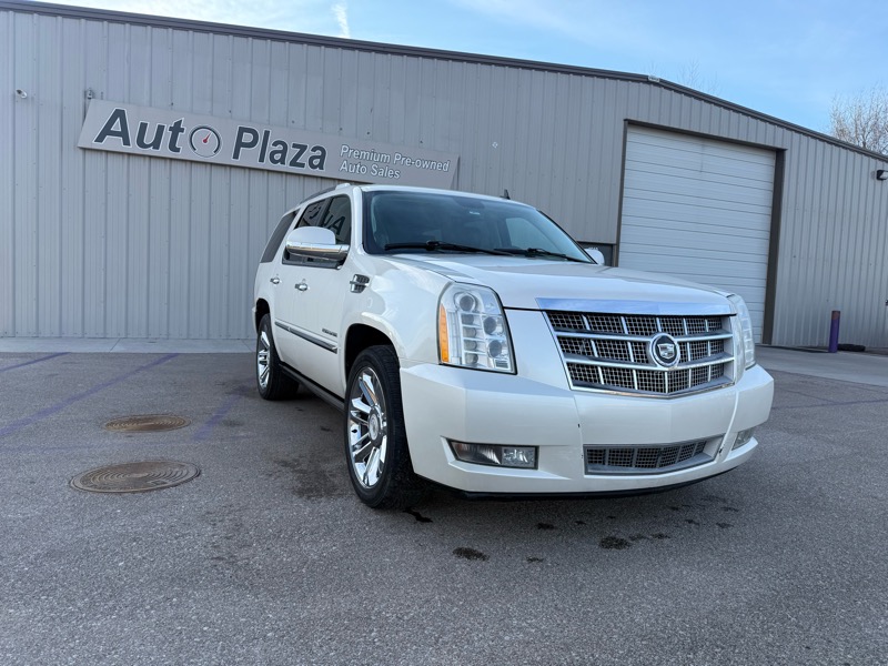 2010 Cadillac Escalade Platinum Edition