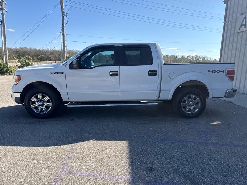 Ford F-150 XLT SuperCrew 6.5-ft. Bed 4WD 2011