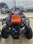 2023 Tao Tao T-FORCE Platinum 