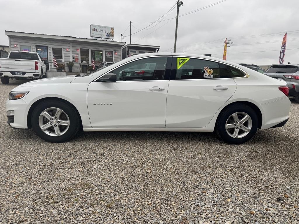 2023 Chevrolet Malibu 1FL