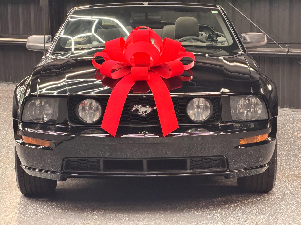 Ford Mustang GT Deluxe Convertible 2006