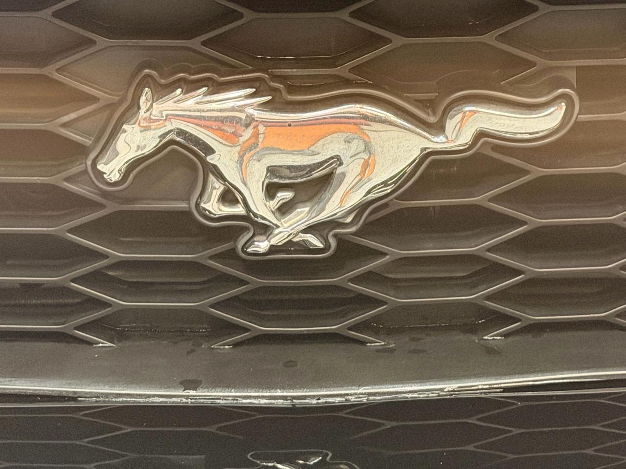 Ford Mustang GT Deluxe Convertible 2006