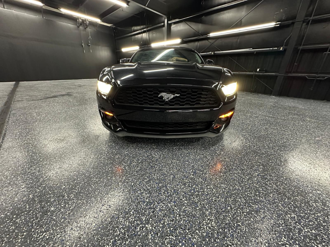 Ford Mustang EcoBoost Fastback 2017