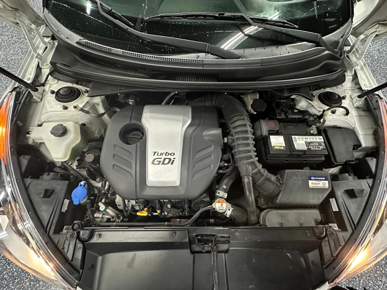 Hyundai Veloster 3dr Cpe Auto Turbo 2016