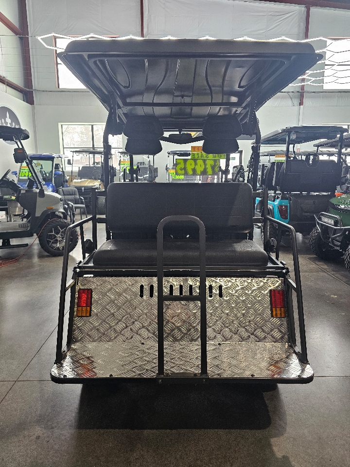 Vitacci Rover 300 EFI  2025