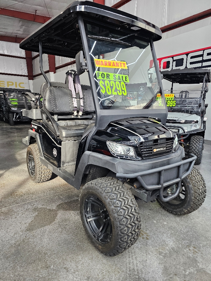 Bintelli Beyond 4PL  2024