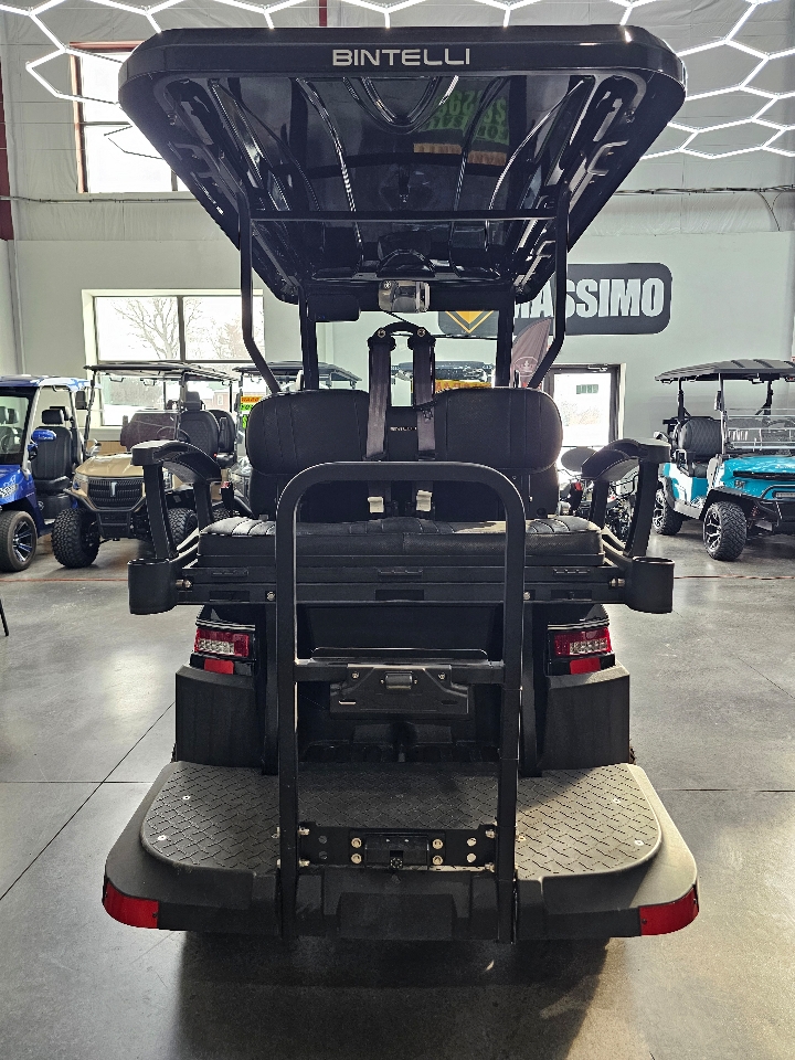 Bintelli Beyond 4PL  2024