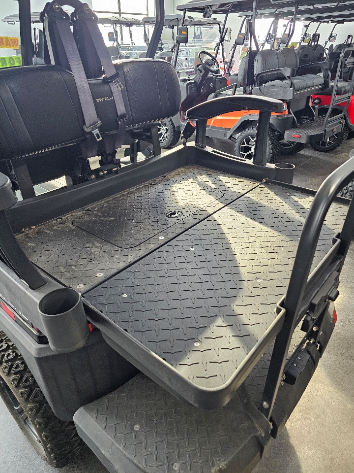 Bintelli Beyond 4PL  2024