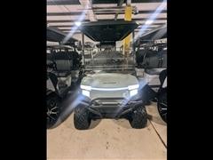 2025 Denago Rover XL 