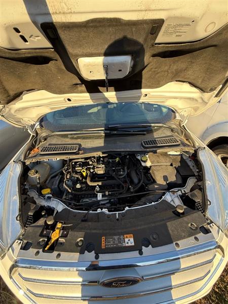 Ford Escape SE 4WD 2019