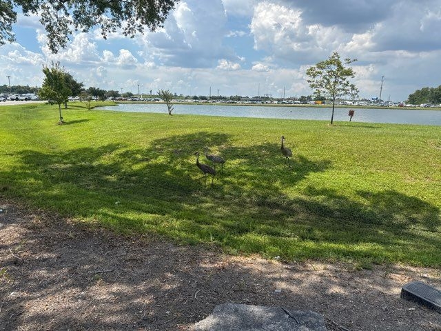 Mitsubishi Eclipse 2dr Spyder Auto GS Sport 2011