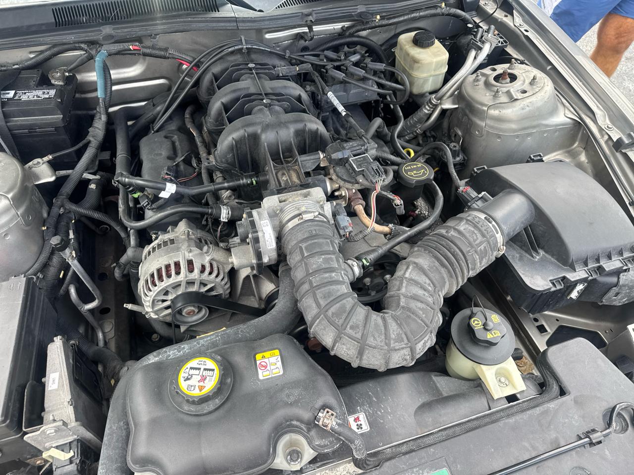 Ford Mustang 2dr Cpe Premium 2008