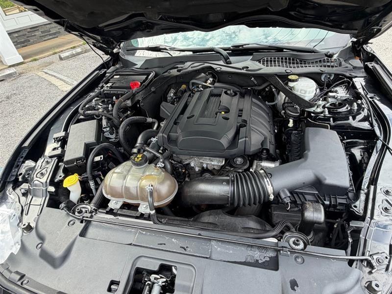 Ford Mustang EcoBoost Premium Convertible 2019