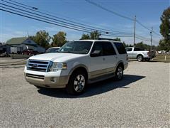 2010 Ford Expedition 