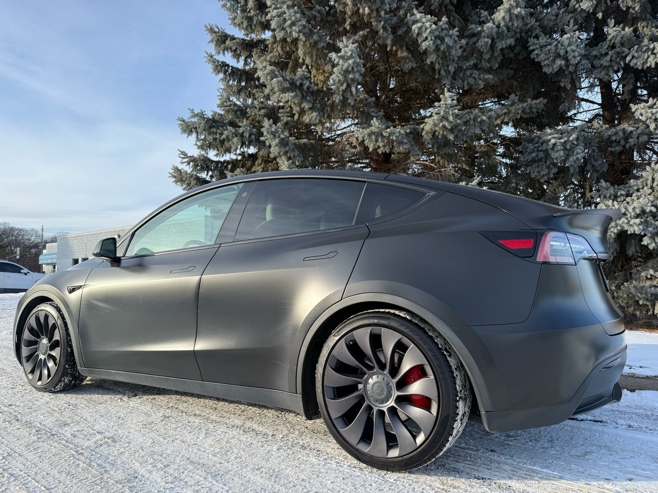 Tesla Model Y Performance 2021