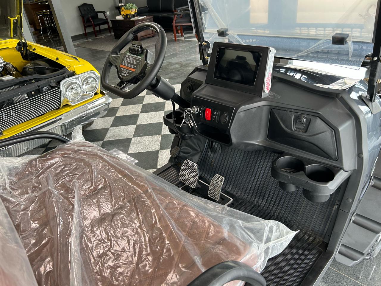 Golf Cart Custom  2025