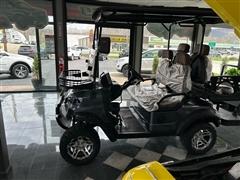 2025 Golf Cart Custom 