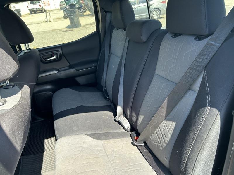 Toyota Tacoma TRD Sport Double Cab 5' Bed V6 4x2 AT (Natl) 2023