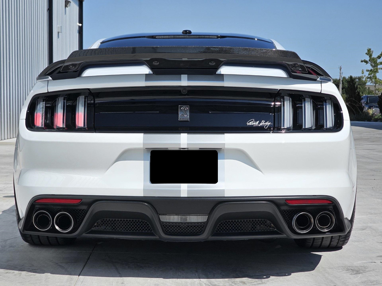 Ford Shelby GT350 Base 2019