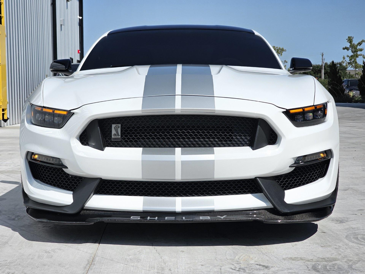 Ford Shelby GT350 Base 2019