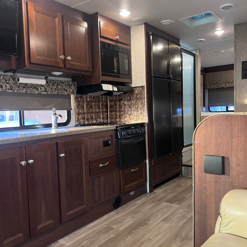 Forest River Sunseeker  2017