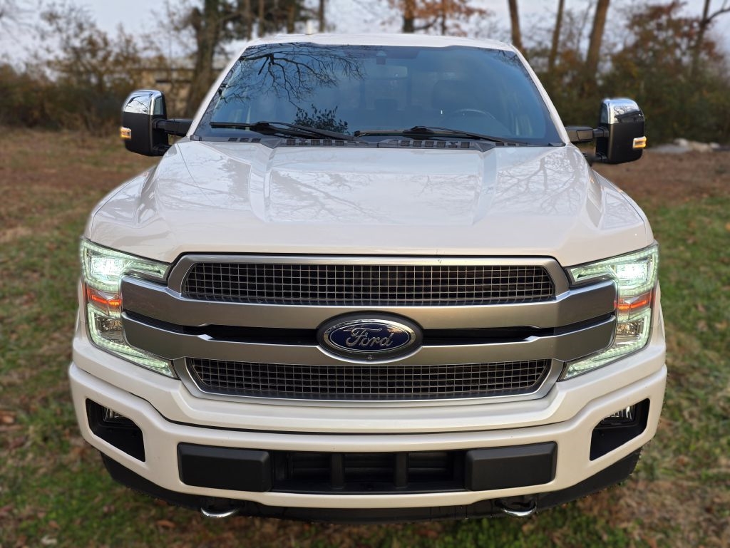 Ford F-150 XL SuperCrew 5.5-ft. Bed 4WD 2019