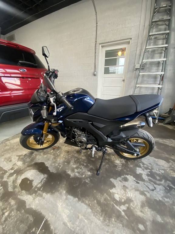 2023 Kawasaki Z125 PRO 