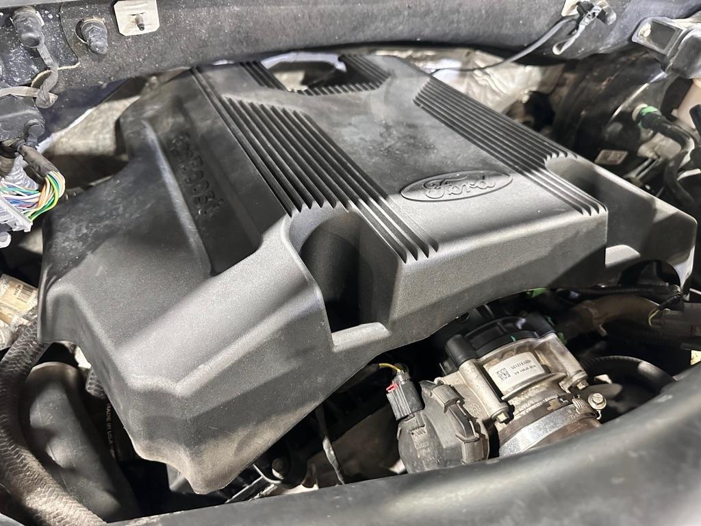 Ford F-150 XLT SuperCrew 5.5-ft. Bed 4WD 2019