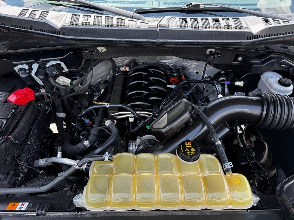 Ford F-150 XLT 4WD SuperCrew 5.5' Box 2020