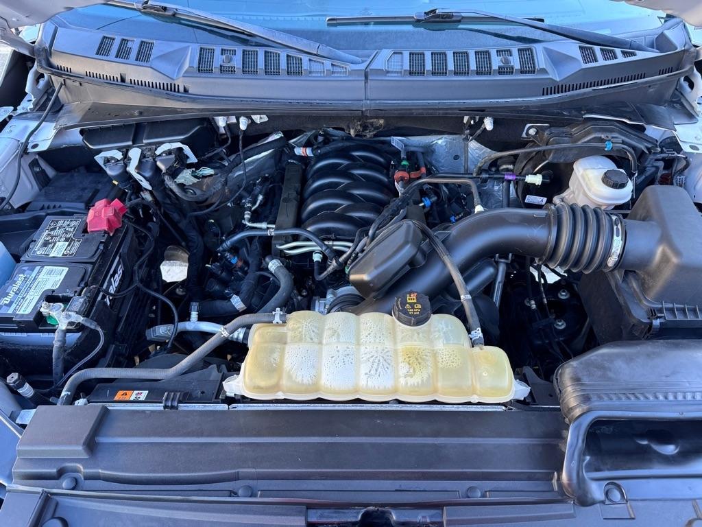 Ford F-150 XL SuperCrew 5.5-ft. Bed 4WD 2019