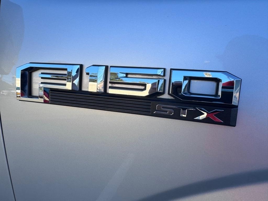 Ford F-150 XL SuperCrew 5.5-ft. Bed 4WD 2019