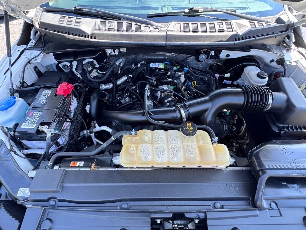Ford F-150 XLT 2WD SuperCab 6.5' Box 2019