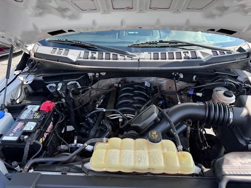 Ford F-150 XL SuperCrew 5.5-ft. Bed 4WD 2019