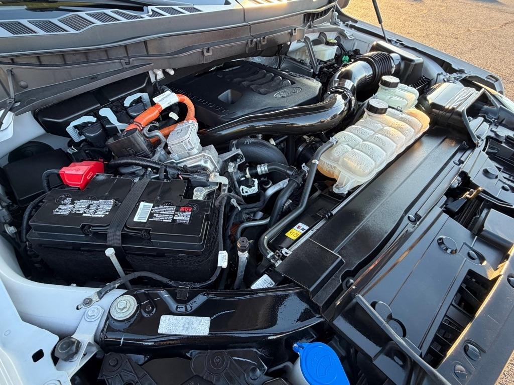 Ford F-150 XLT SuperCrew 5.5-ft. Bed 4WD 2023