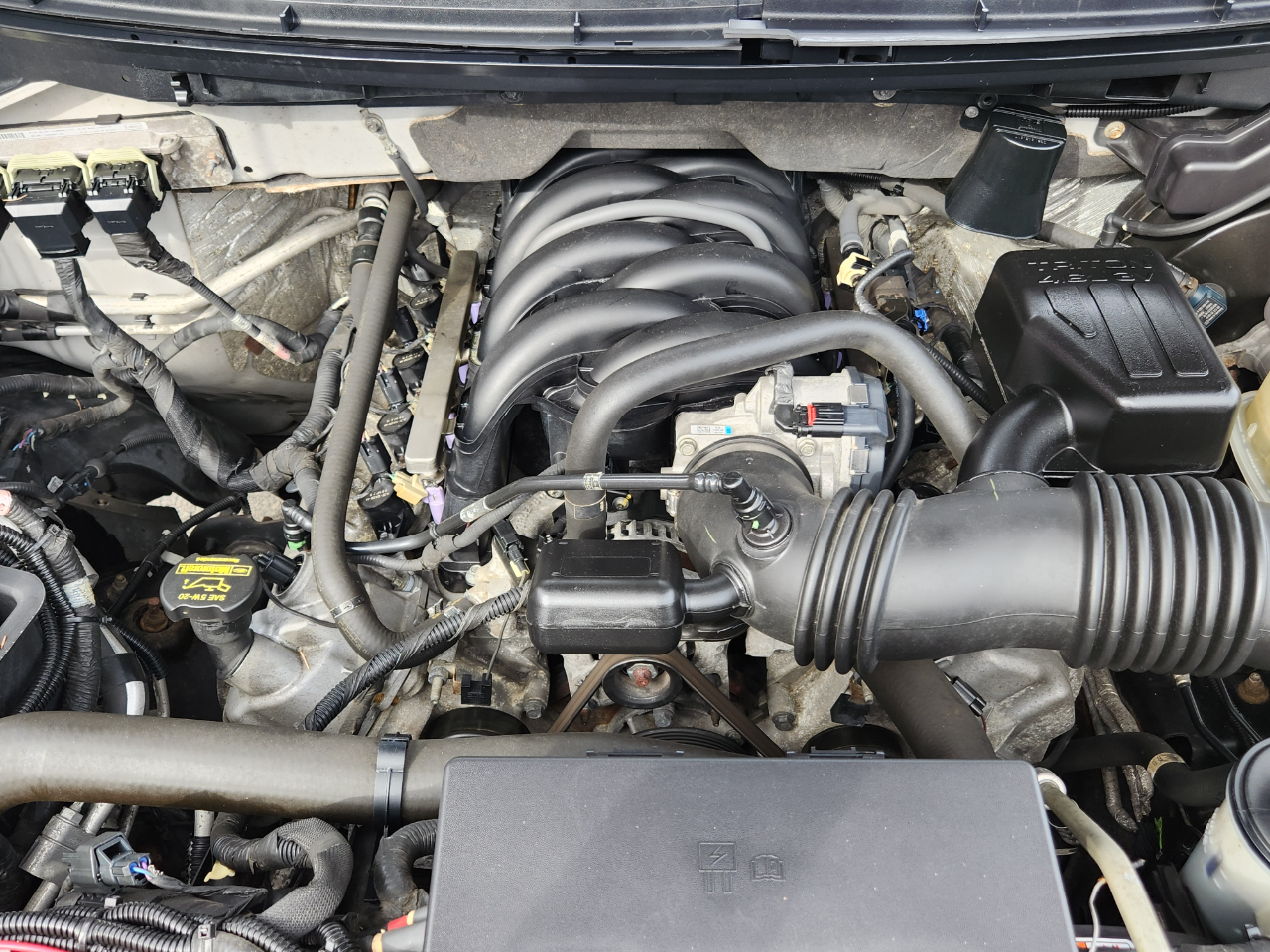 Ford F-150 4WD SuperCrew 145" XLT 2010