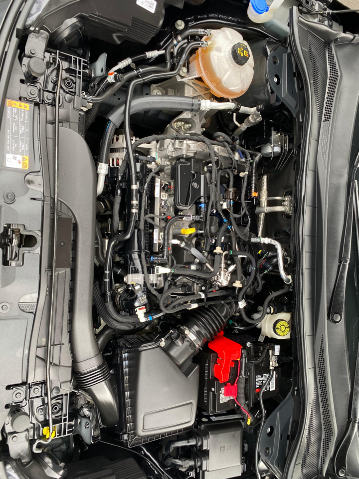 Ford Escape SE AWD 2021