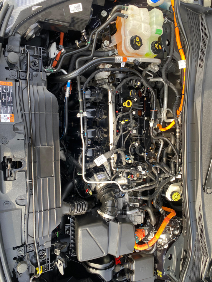 Ford Escape SE Hybrid FWD 2021