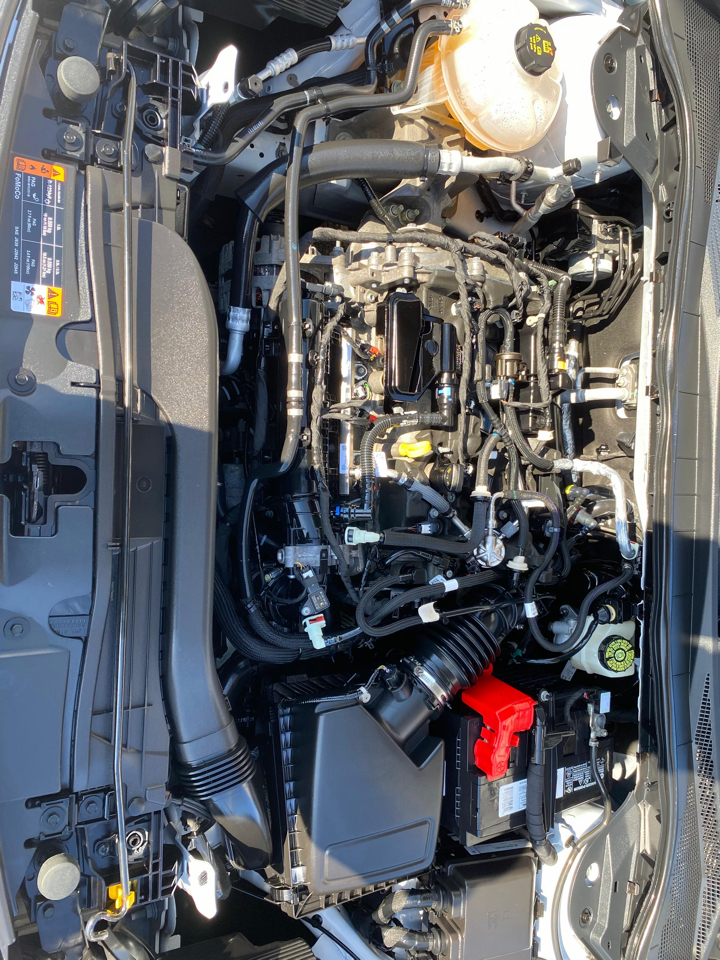 Ford Escape SE AWD 2020