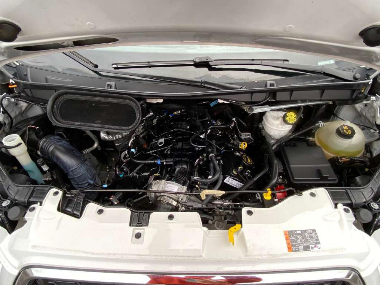 Ford Transit Passenger Wagon T-350 148" Low Roof XLT RWD 2023