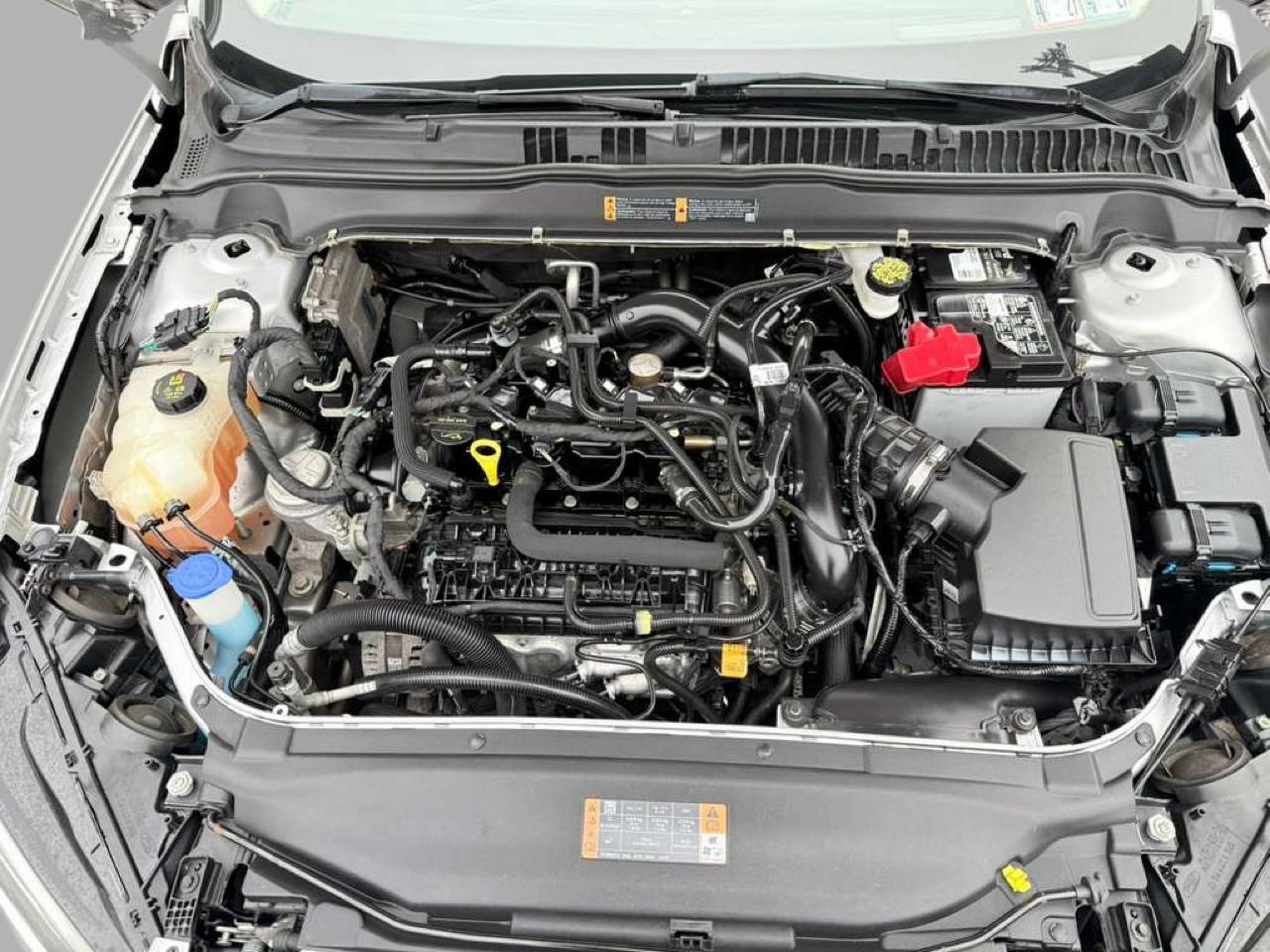 Ford FUSION SE  2019