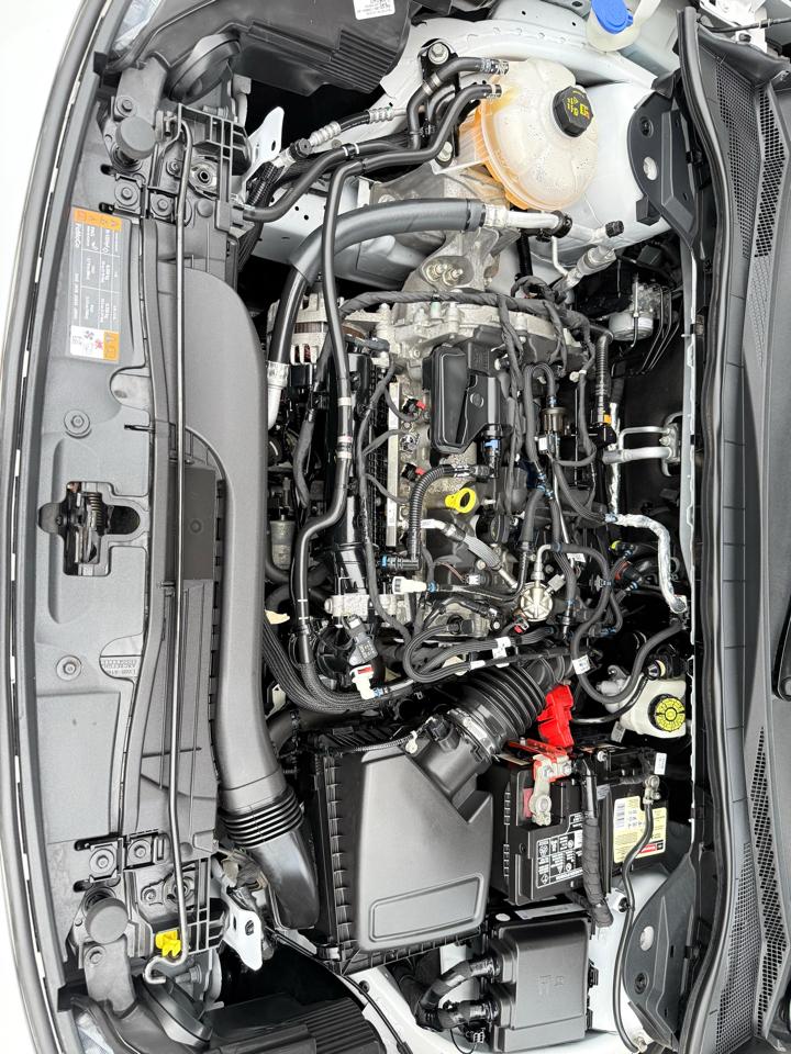 Ford Escape SE FWD 2021