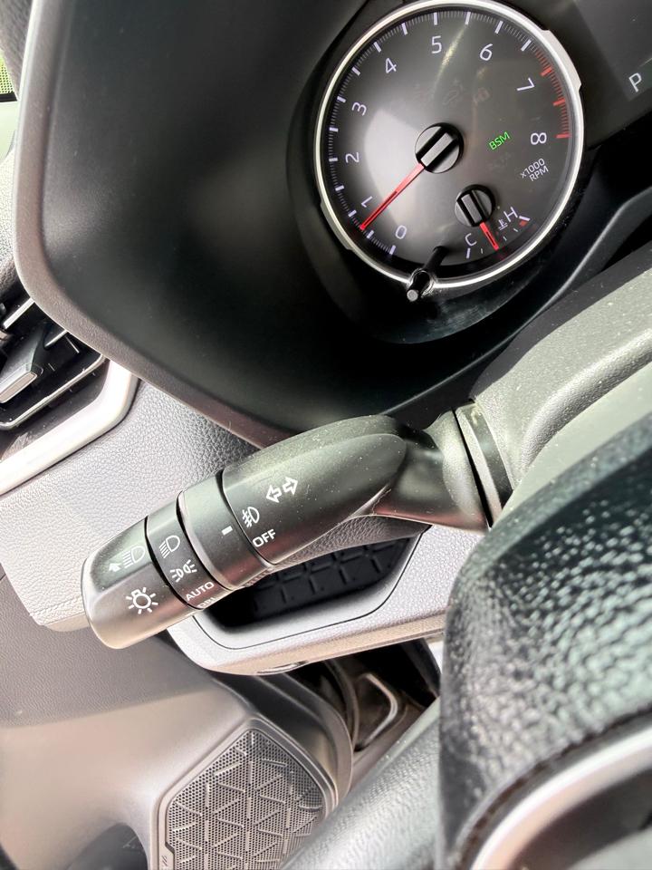 Toyota RAV4 XLE AWD (Natl) 2019