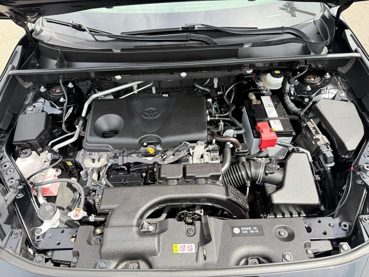 Toyota RAV4 XLE AWD (Natl) 2019