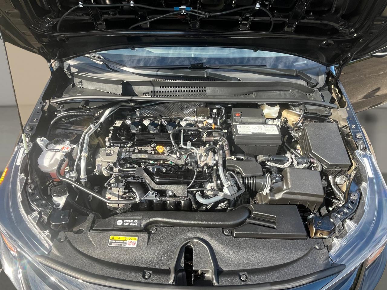 Toyota Corolla LE CVT (Natl) 2025